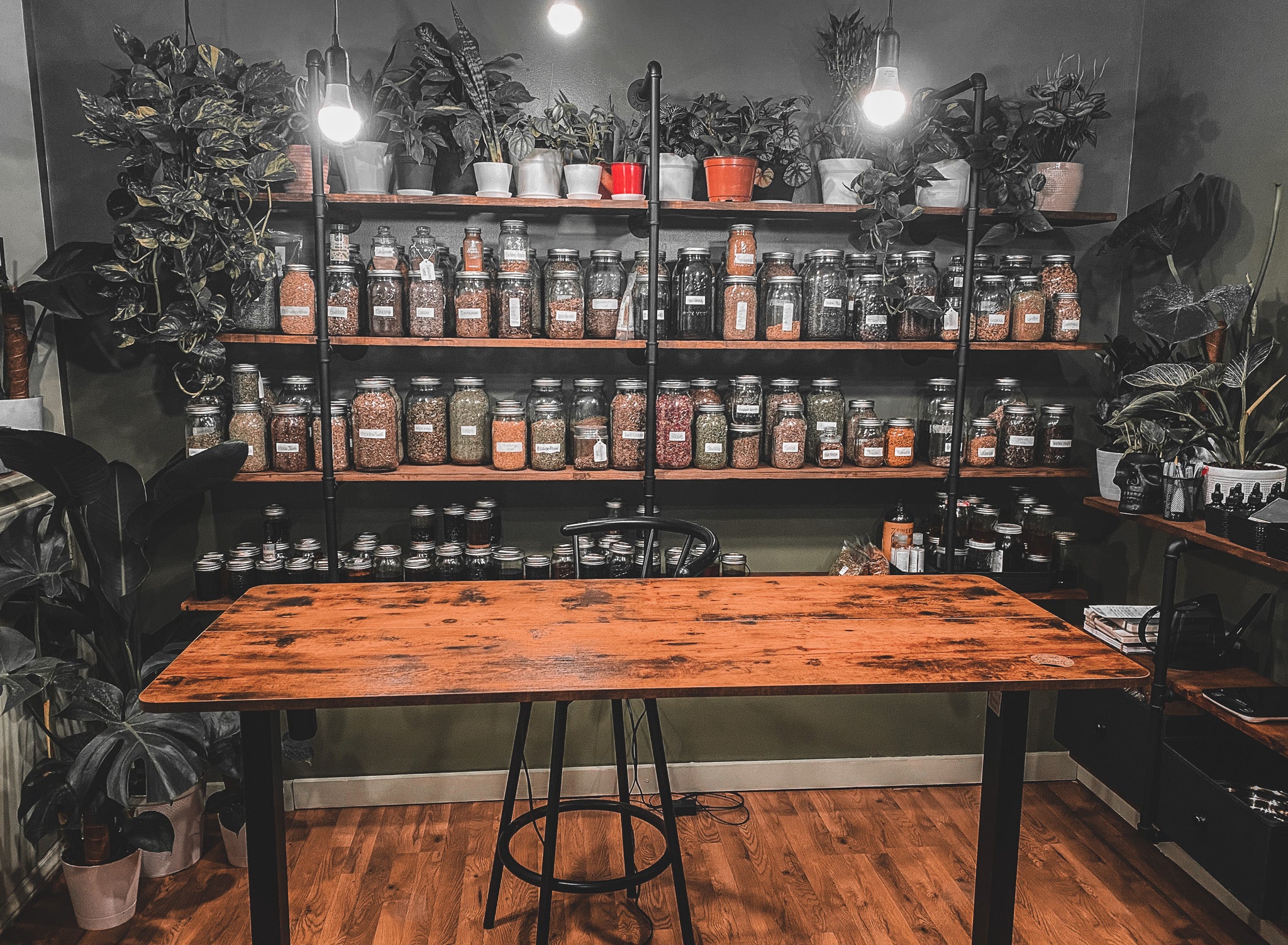 Haints and Holler Apothecary