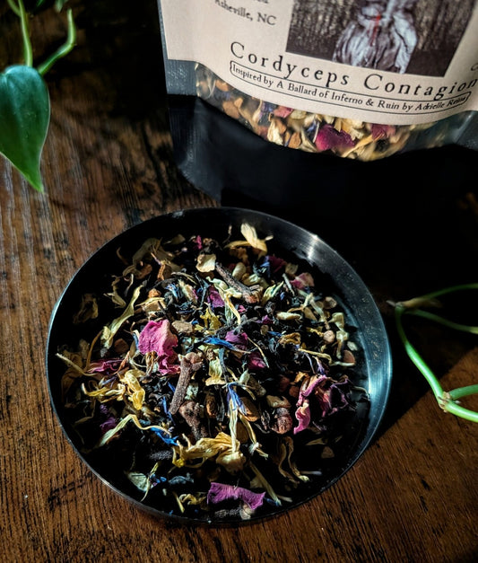 Cordyceps Contagion (A Ballad of Inferno & Ruin)
